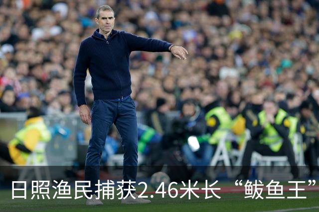 日照渔民捕获2.46米长“鲅鱼王”，重达268斤，当地一水饺厂老板花数万元买下：原想做成鲅鱼水饺，改了主意想把它做成标本